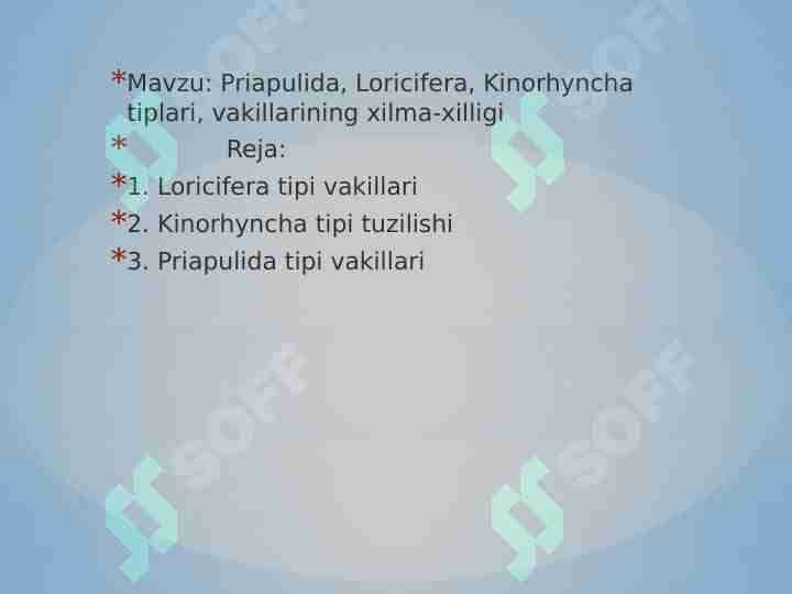 Priapulida, Loricifera, Kinorhyncha tiplari, vakillarining xilma-xilligi