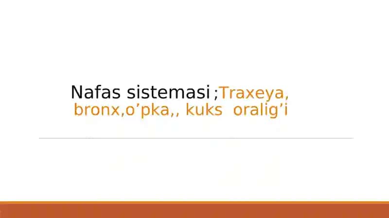 Nafas sistemasi