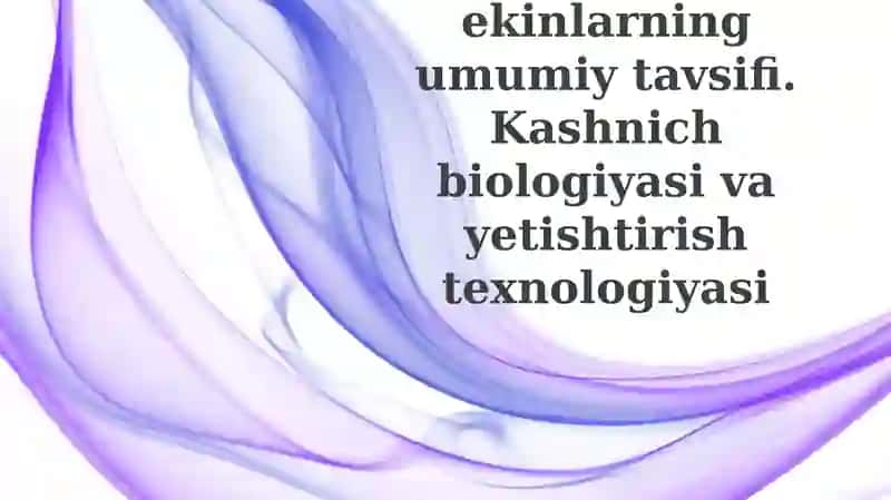 Efir moyli ekinlarning umumiy tavsifi
