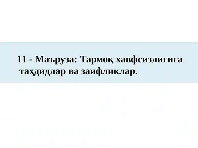 Тармоқ хавфсизлигига таҳдидлар ва заифликлар.