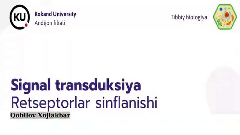 Signal transduksiya