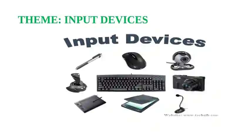 Input Devices