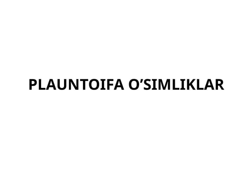 PLAUNTOIFA O’SIMLIKLAR