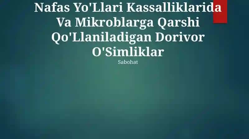 Nafas Yo'Llari Kassalliklarida Va Mikroblarga Qarshi Qo'Llaniladigan Dorivor O'Simliklar