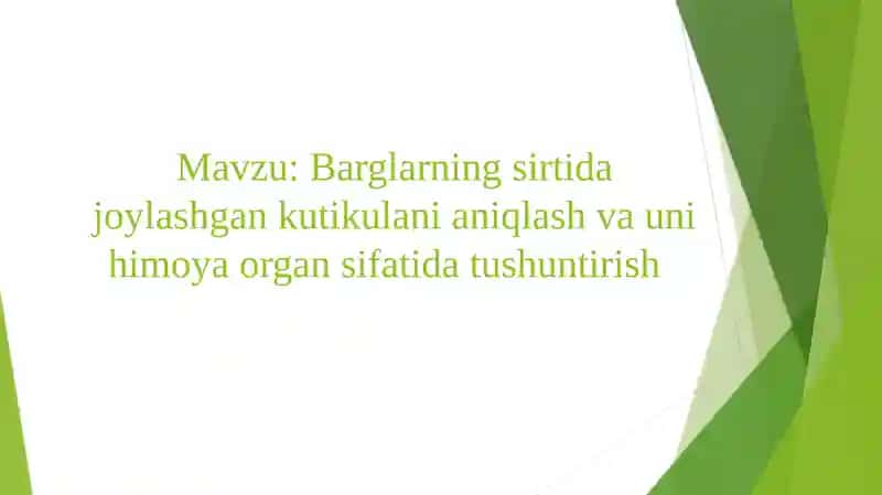 Barglarning sirtida joylashgan kutikulani qilish va uni himoya qilish