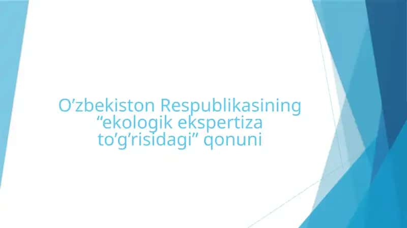 Ekologik ekspertiza
