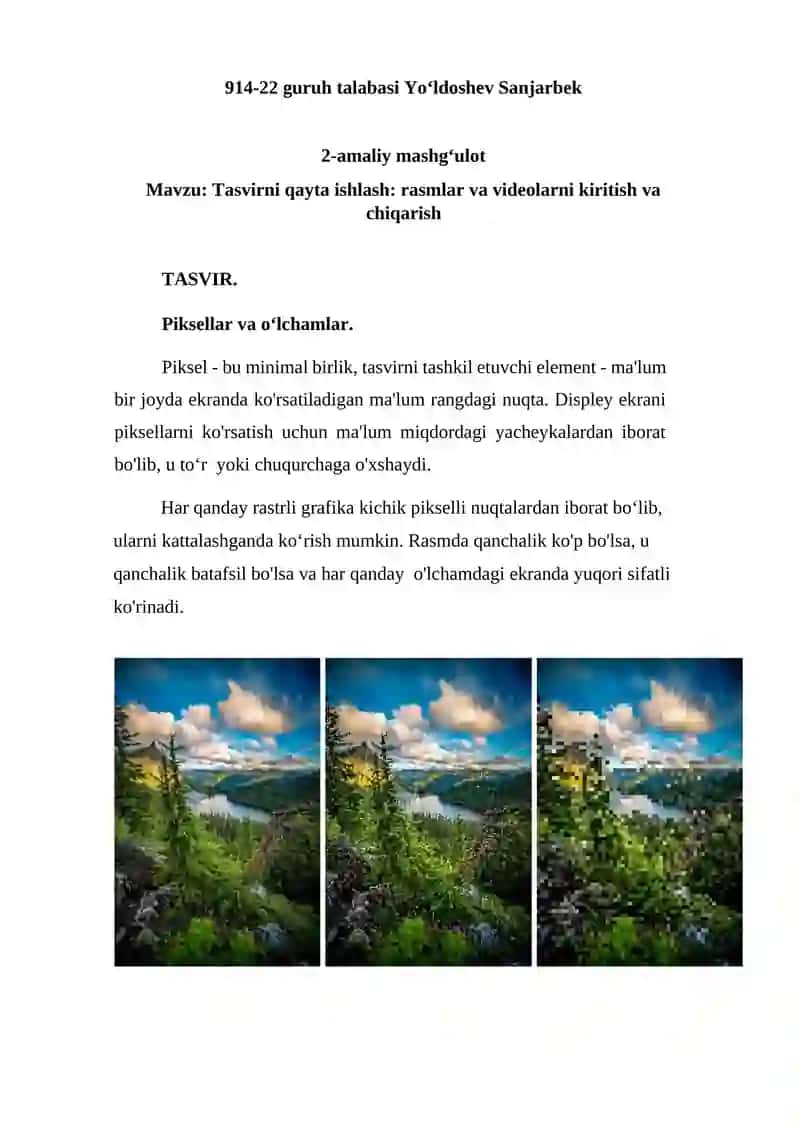 Tasvirni qayta ishlash: rasmlar va videolarni kiritish va chiqarish