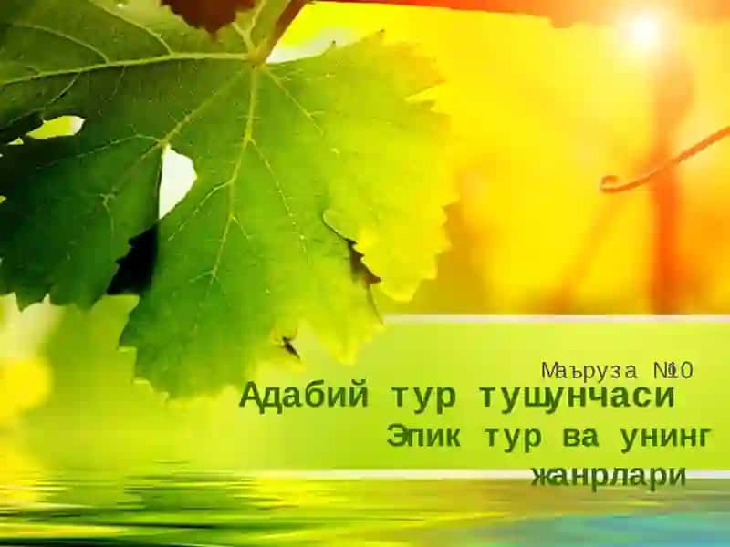 Адабий тур тушунчаси
