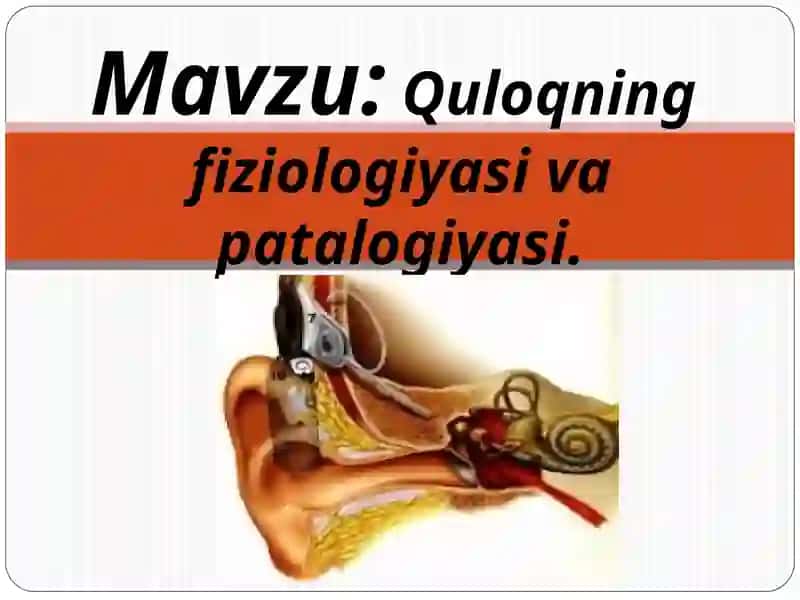 Quloqning fiziologiyasi va patalogiyasi