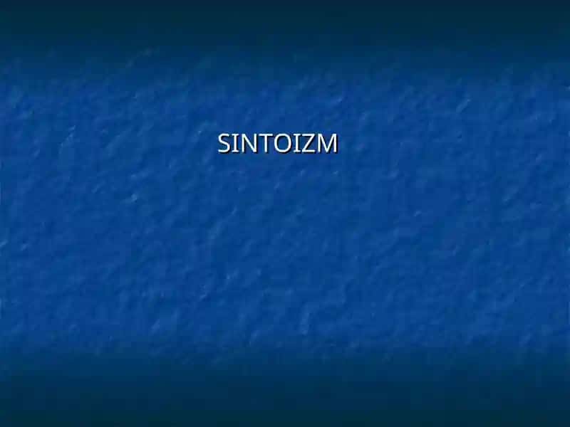 SINTOIZM