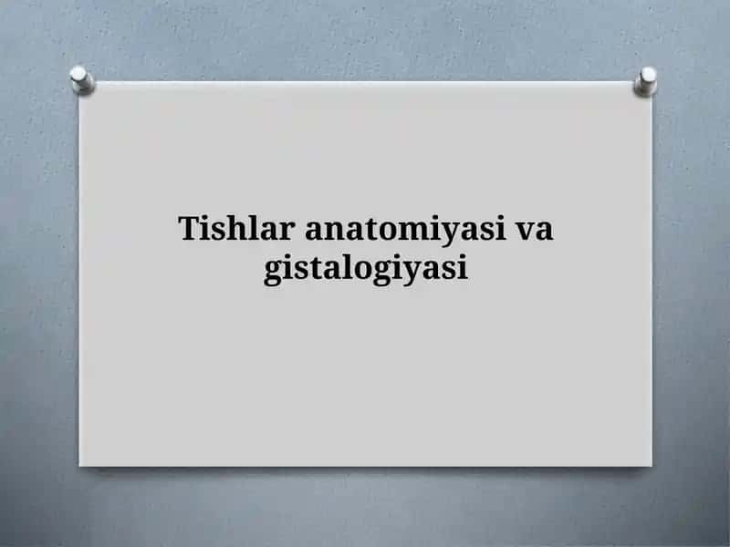 Tishlaranatomiyasi va gistologiyasi