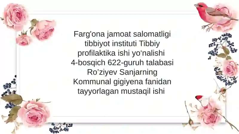 Hammomlar gigienasi