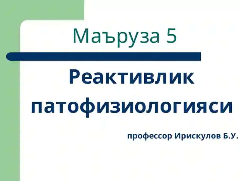 Маъруза5