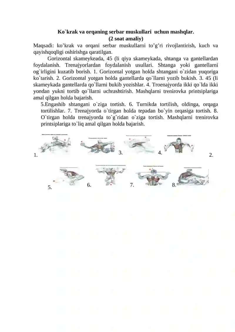 Ko`krak va orqaning serbar muskullari uchun mashqlar
