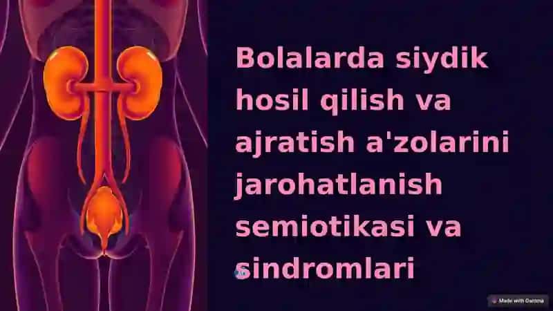 Siydik hosil qilish va ajratish semiotikasi