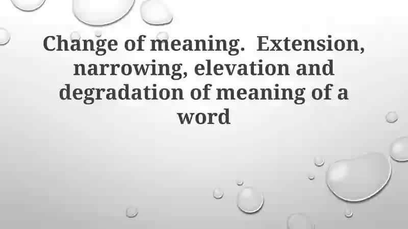 Understanding Semantic Change: Types and Mechanisms