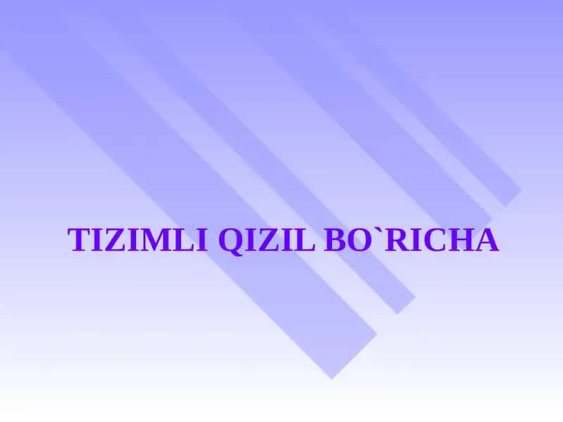 TIZIMLI QIZIL BO`RICHA