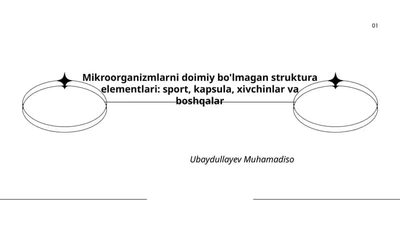 Mikroorganizmlarni doimiy bo'lmagan struktura elementlari: sport, kapsula, xivchinlar va boshqalar