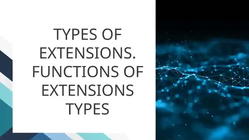 TYPES OF EXTENSIONS. FUNCTIONS OF EXTENSIONS TYPES