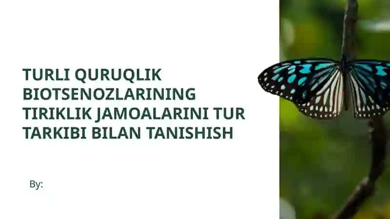Quruqlik biotsenozlarining turi va ulardagi tashkil etili shediylik jamoalarini tushunish