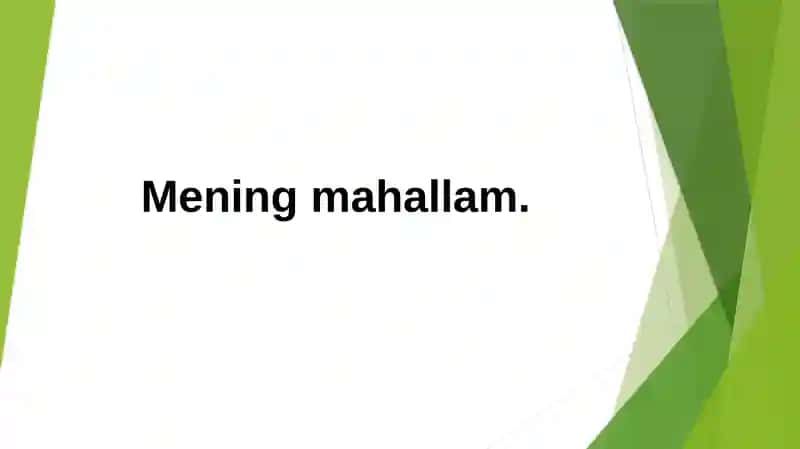 Mening mahallam