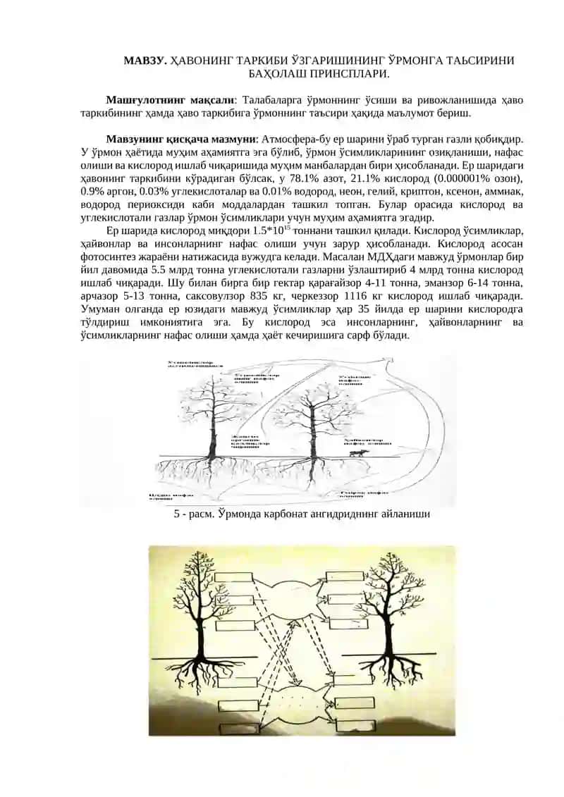 Ҳавонинг таркиби ўзгаришининг ўрмонга таъсири