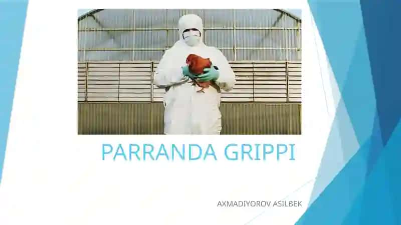 PARRANDA GRIPPI