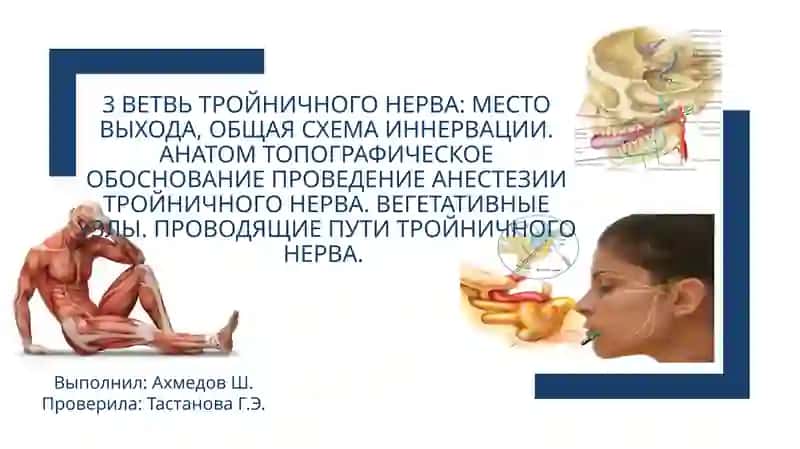 Тройничный нерв