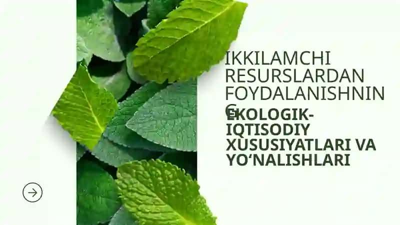 Ekologik-iqtisodiy xususiyatlari va yo‘nalislari