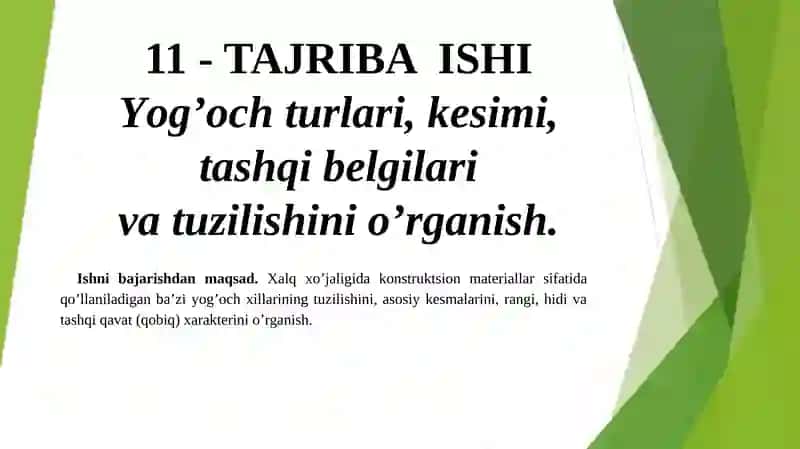 Yog’ochlar tuzilishi
