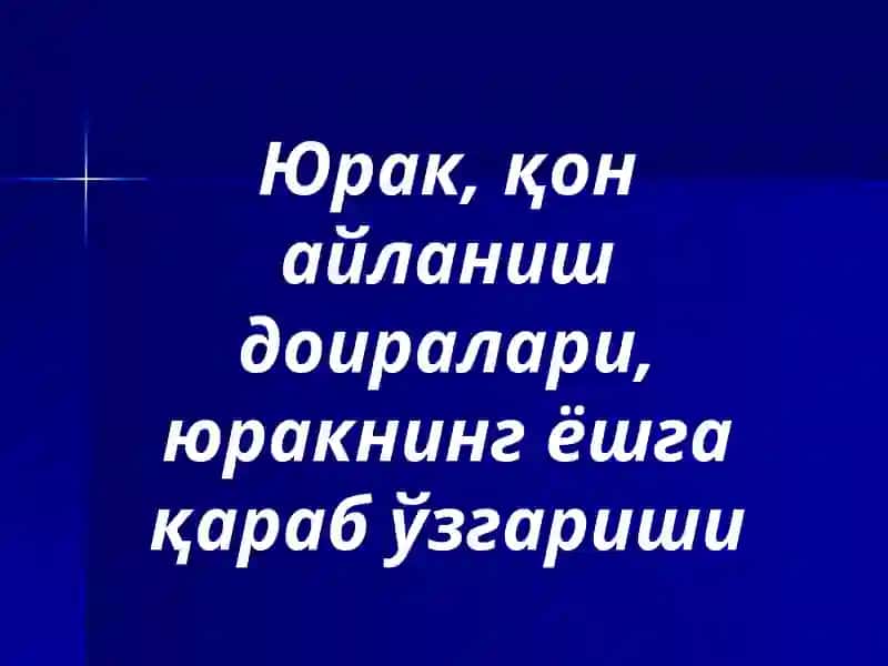 Юрак