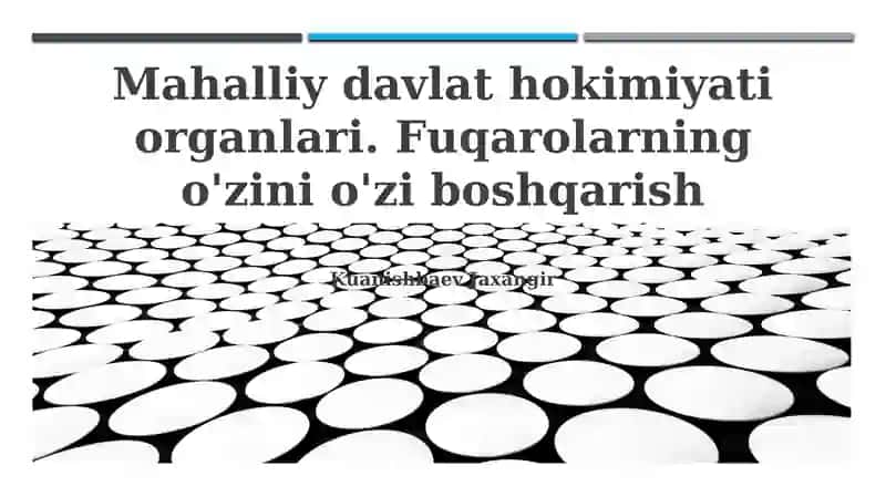 Mahalliy davlat hokimiyati organlari