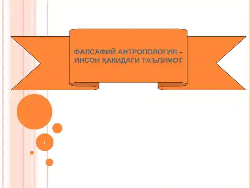 Фалсафий Антропология
