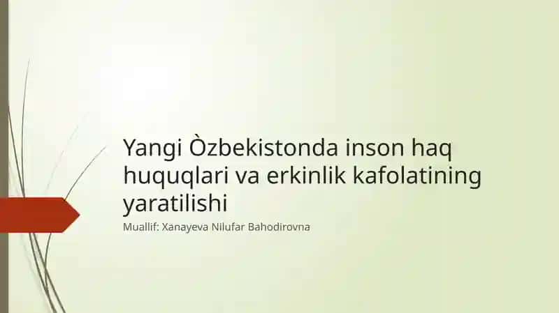 Inson Huquqlari Kafolatlari Tarixi va Zamonaviy Ahamiyati