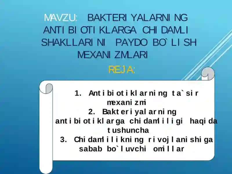 Bakteriyalarning antibiotiklarga chidamli shakllarini paydo bo'lish mexanizmlari