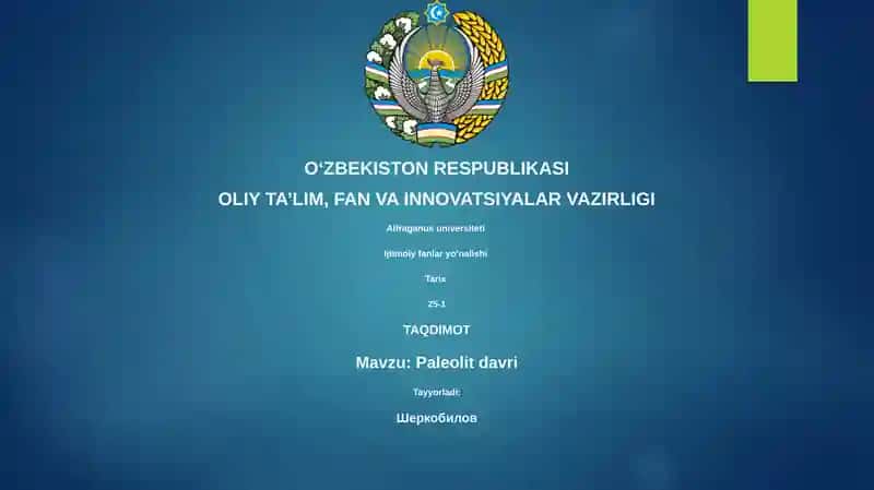 Paleolit davri