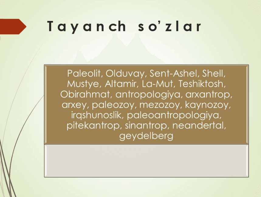 Paleolit davri arxeologiyasi