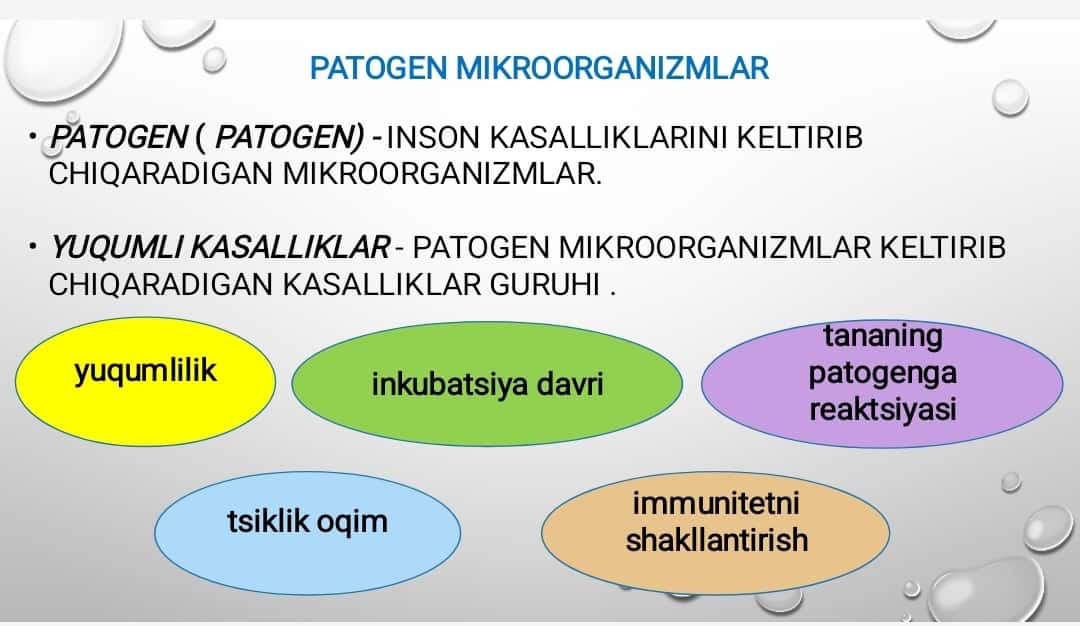 Ichakning yuqumli kasalliklari, zoonozlar, gelmintozlar va ularning oldini olish