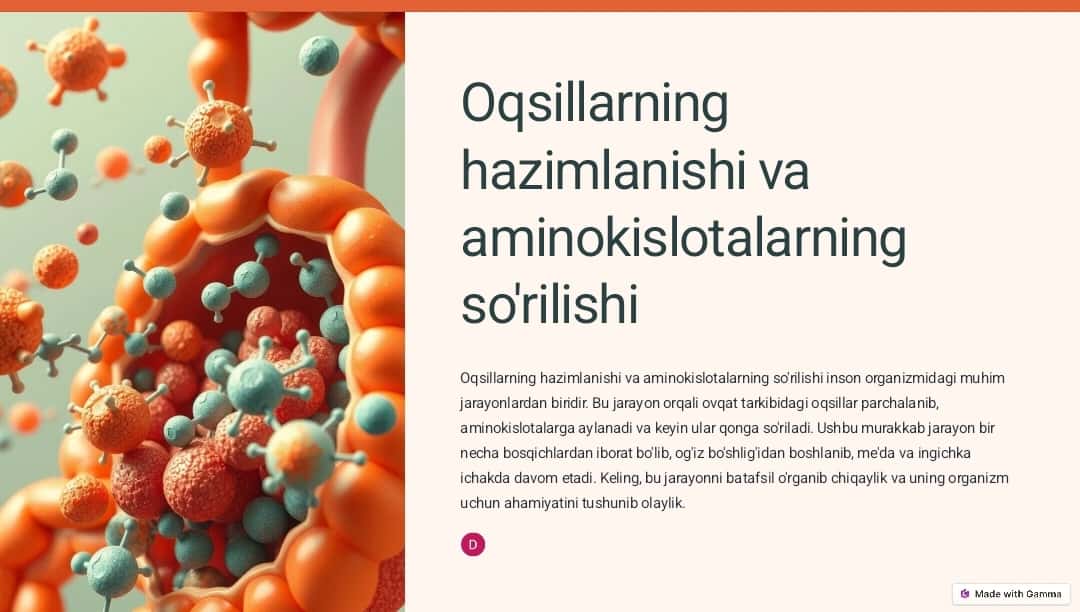 Litosfera va Yer po‘sti. Geoxronologik jadval, asosiy tog‘ hosil bo‘lish bosqichlari. Yer yuzasining asosiy relyef shakllari