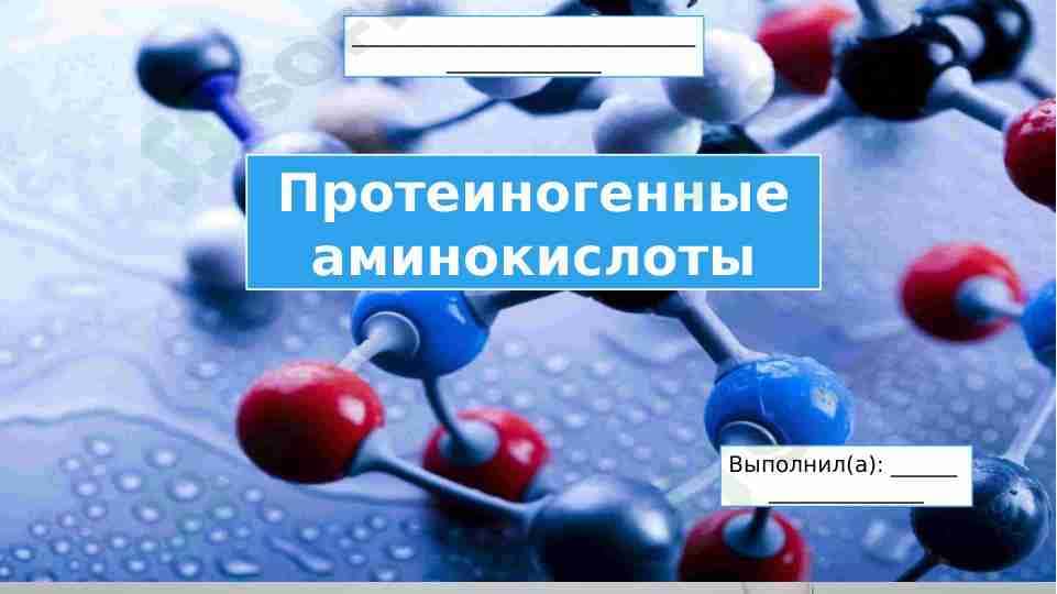 Протеиногенные аминокислоты