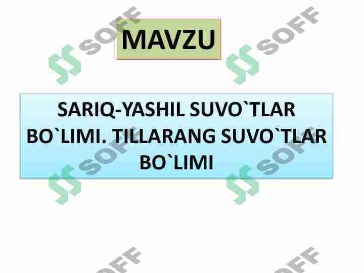 SARIQ-YASHIL SUVO`TLAR BO`LIMI. TILLARANG SUVO`TLAR BO`LIM
