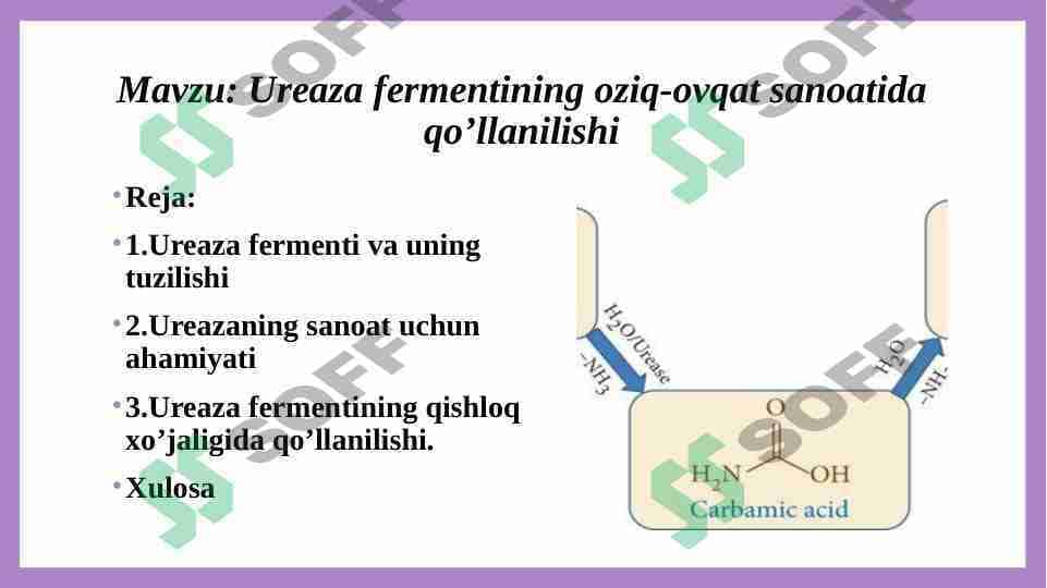 Ureaza fermentining oziq-ovqat sanoatida qo’llanilishi