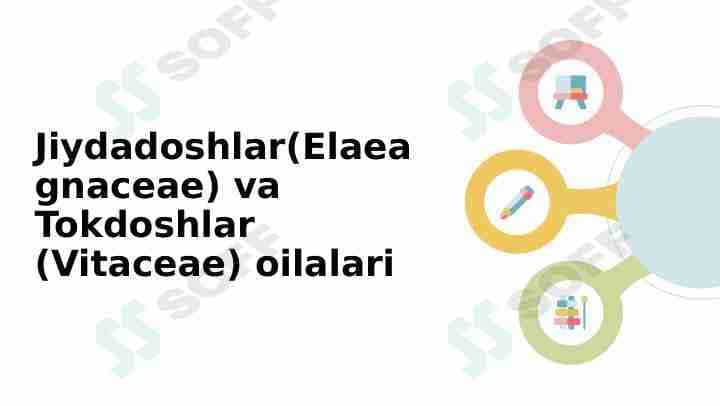 Jiydadoshlar(Elaeagnaceae) va Tokdoshlar (Vitaceae) oilalari