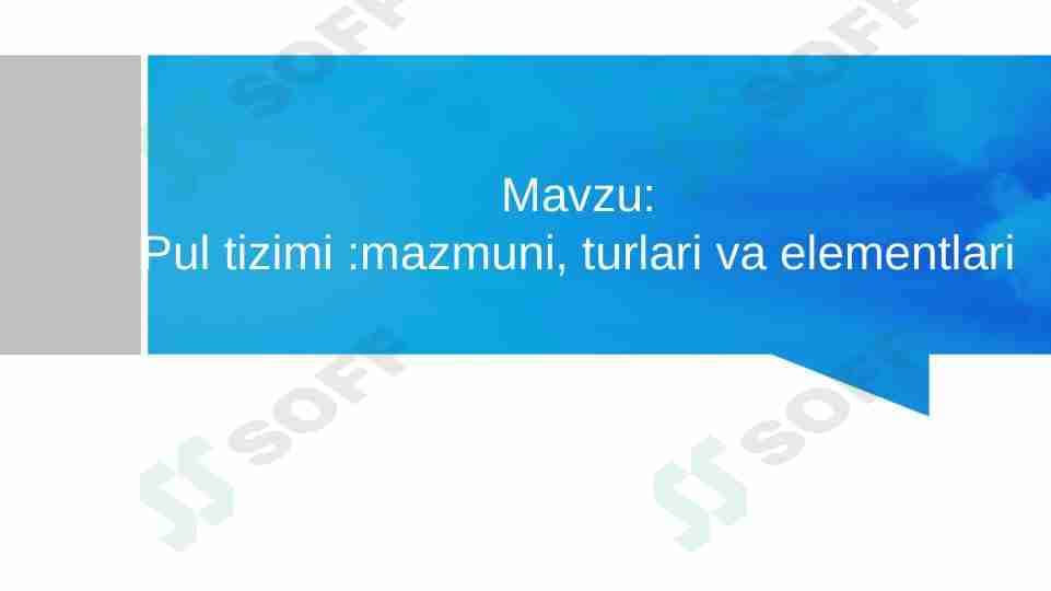 Pul tizimi mazmuni, turlari va elementlari