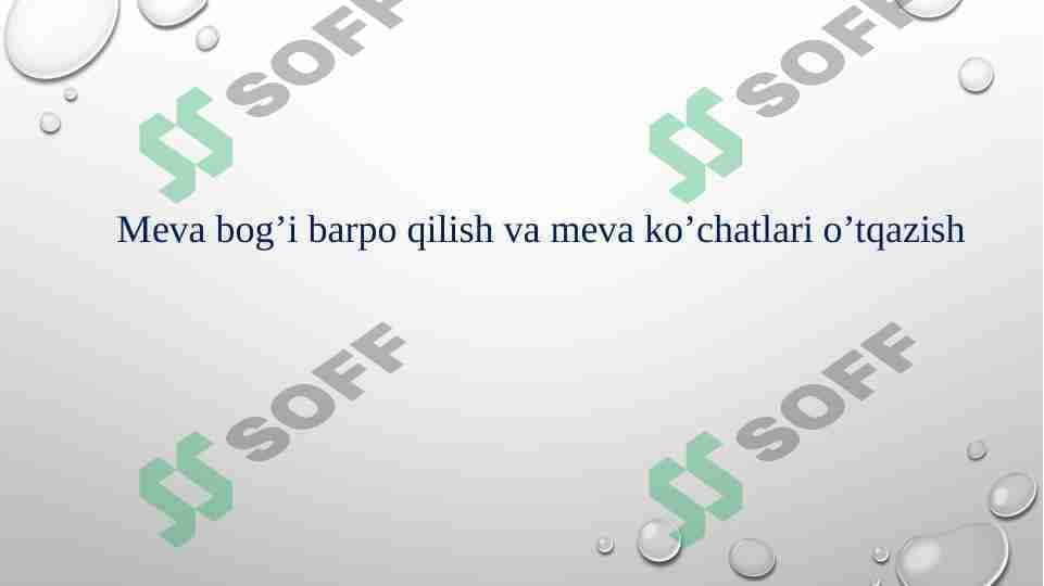 Meva bog’i barpo qilish va meva ko’chatlari o’tqazish