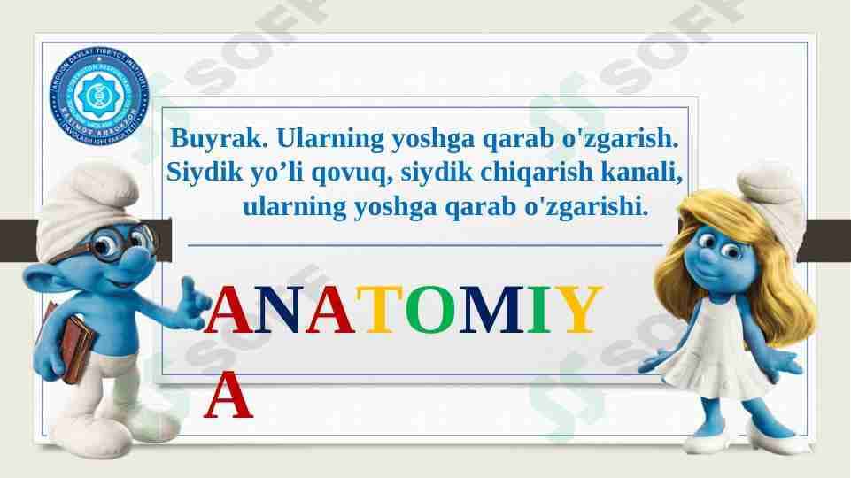 Buyrak. Ularning yoshga qarab o'zgarish. Siydik yo’li qovuq, siydik chiqarish kanali, ularning yoshga qarab o'zgarishi.