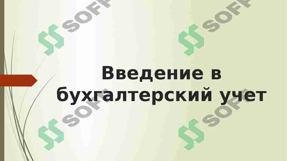 Введение в бухгалтерский учет