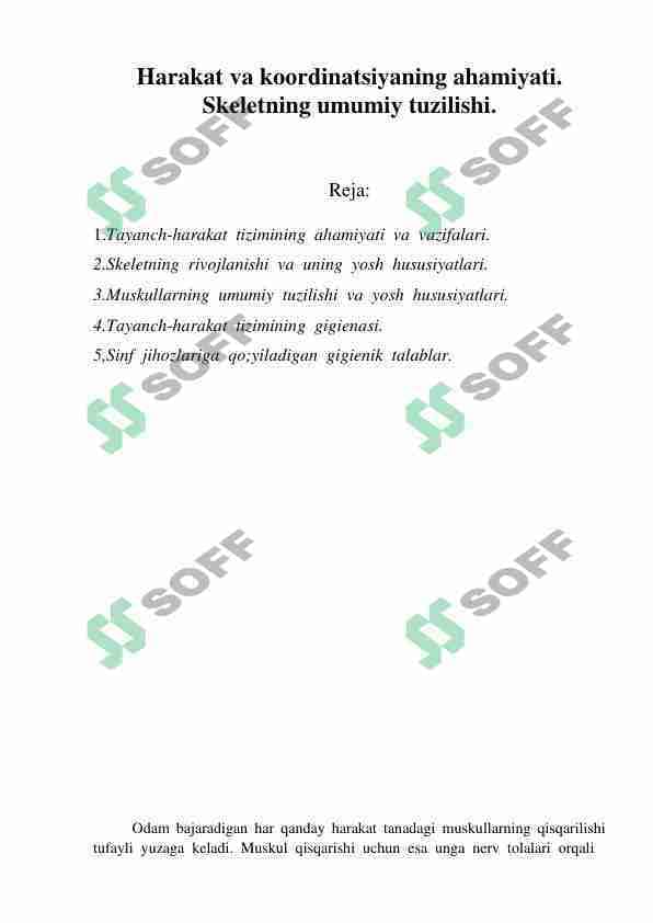 Harakat va koordinatsiyaning ahamiyati. Skeletning umumiy tuzilishi.