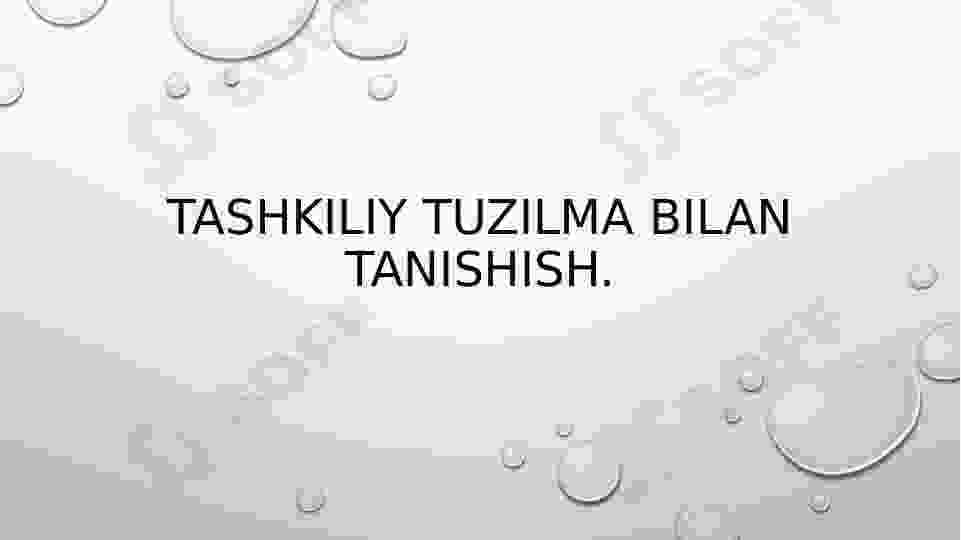 Tashkiliy tuzilma bilan tanishish.