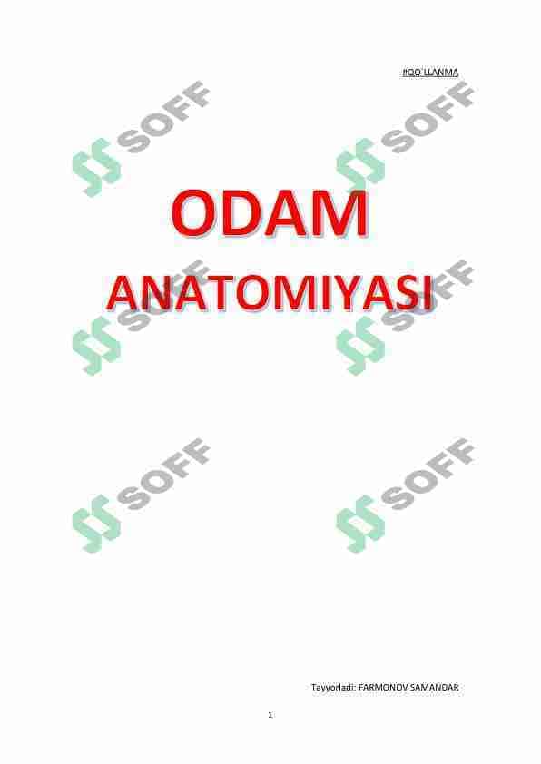 Odam anatomiyasi